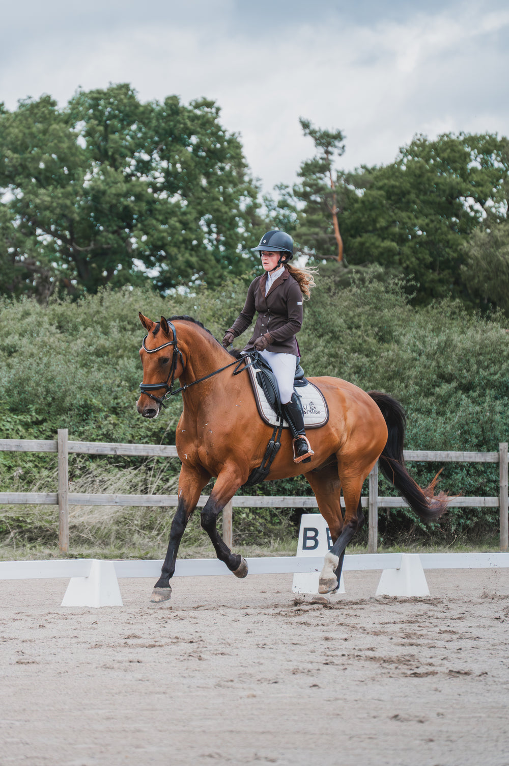 🐴Viktoria Björkman