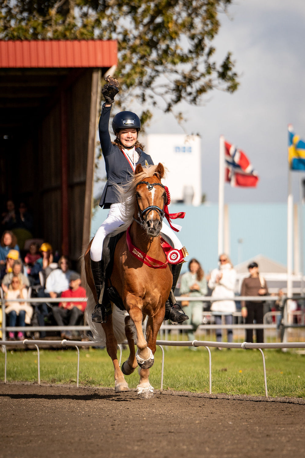 🐴Isabella Larsson
