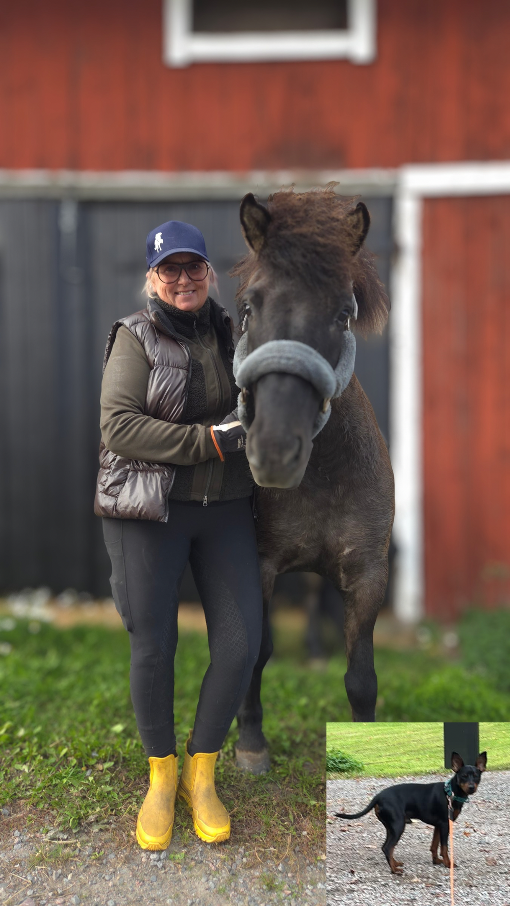 🐴Camilla Berg